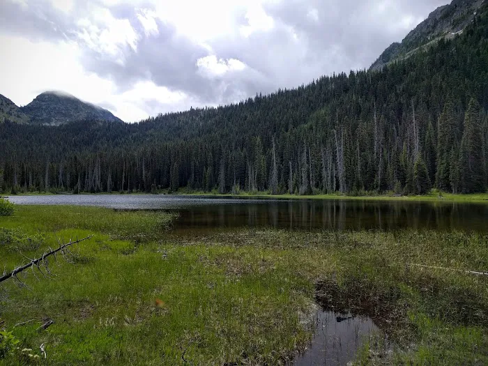 Dagger Lake Campground Picture 7