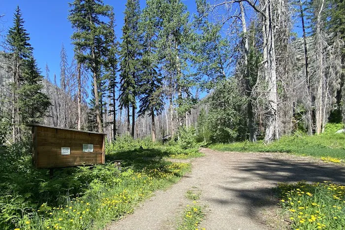 Roads End Campground Picture 1