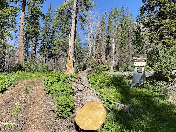 Roads End Campground Picture 2