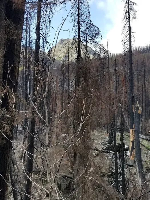 Roads End Campground Picture 4