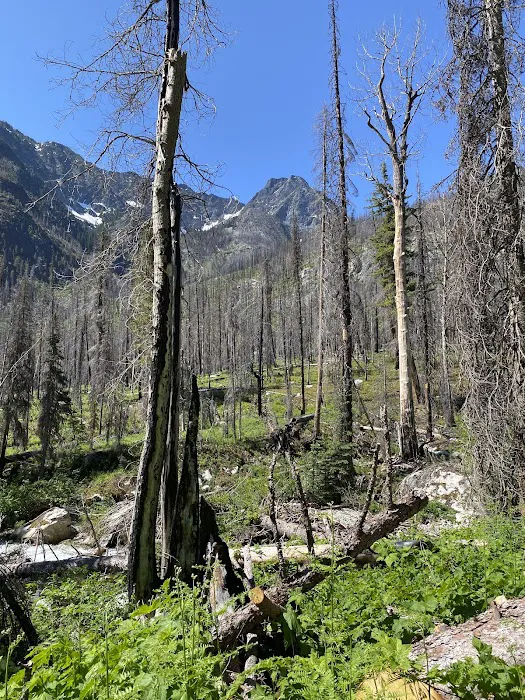 Roads End Campground Picture 6