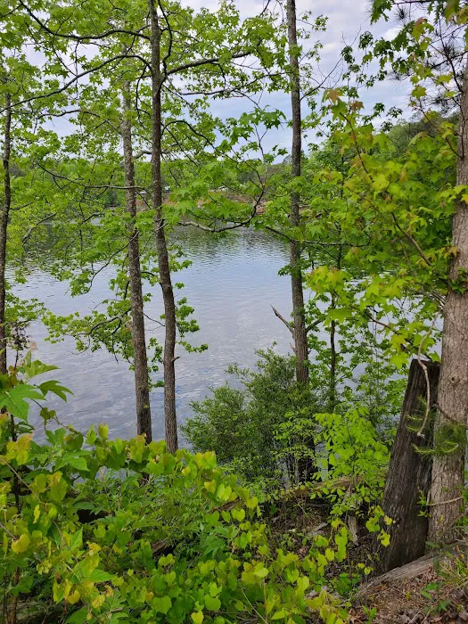 TT campground Picture 3