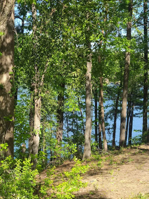 TT campground Picture 6