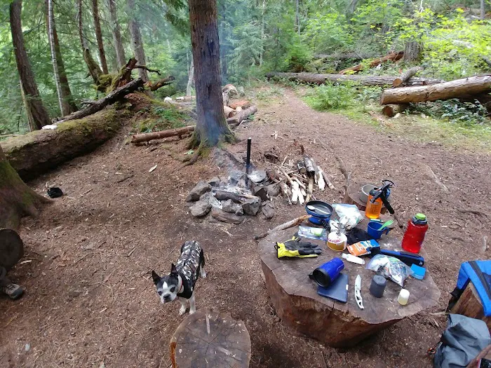 May Creek Campground Picture 2