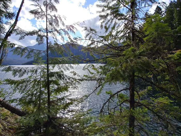 May Creek Campground Picture 6