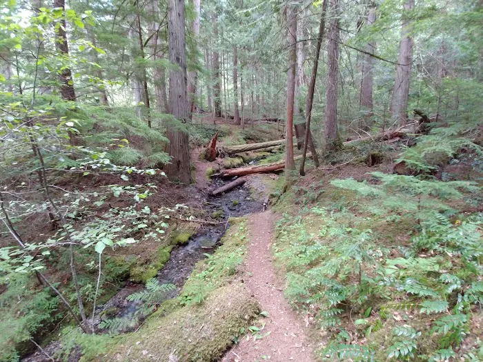 May Creek Campground Picture 8