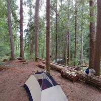 May Creek Stock Camp ico