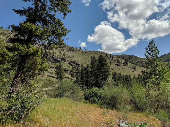 Antilon Lake Campground Picture 3