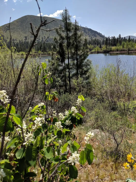 Antilon Lake Campground Picture 7