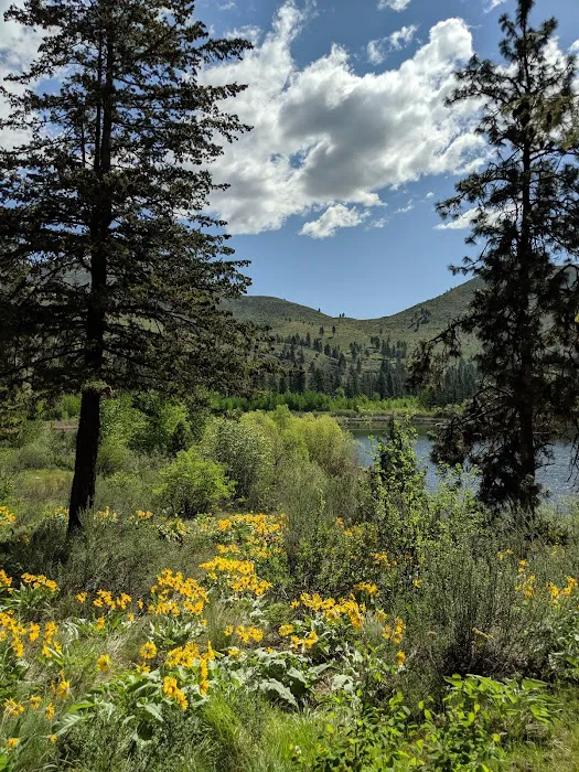 Antilon Lake Campground Picture 10