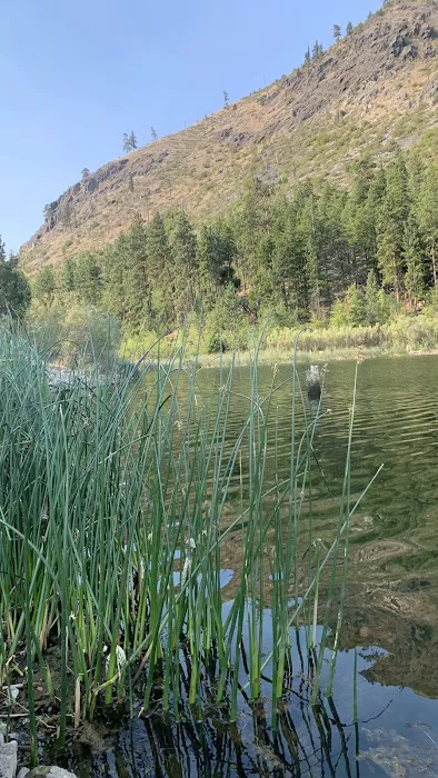 Smiley Face Rock Campsite Picture 9