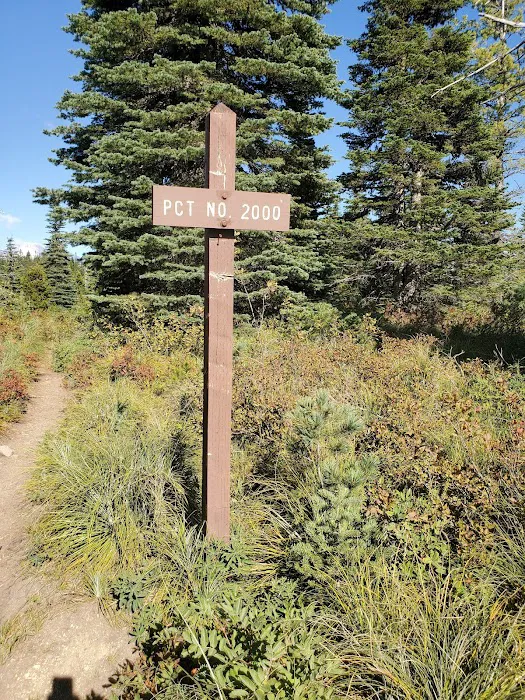 Interpretive Site: Berry Fields Picture 8