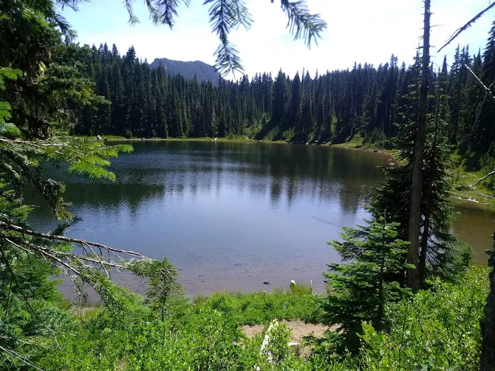 Cultus Creek Campground Picture 5