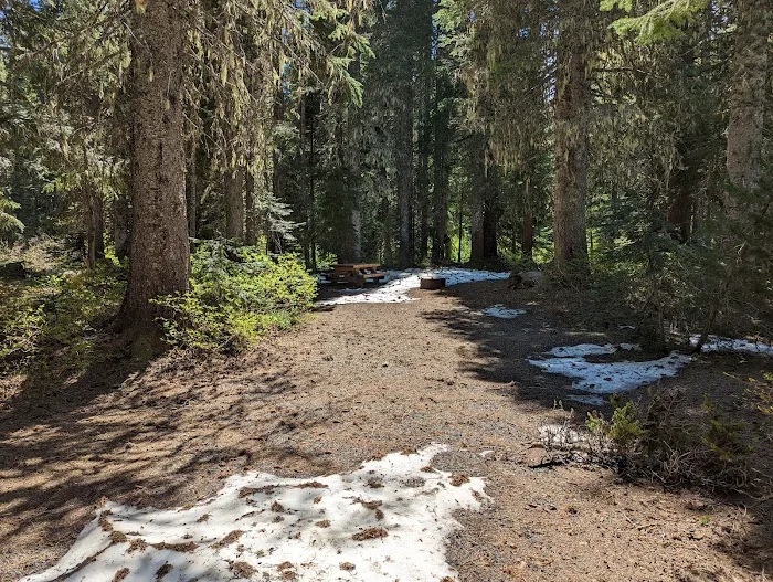 Cultus Creek Campground Picture 4