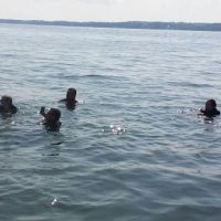 Paris Landing Storage & RV Park ico