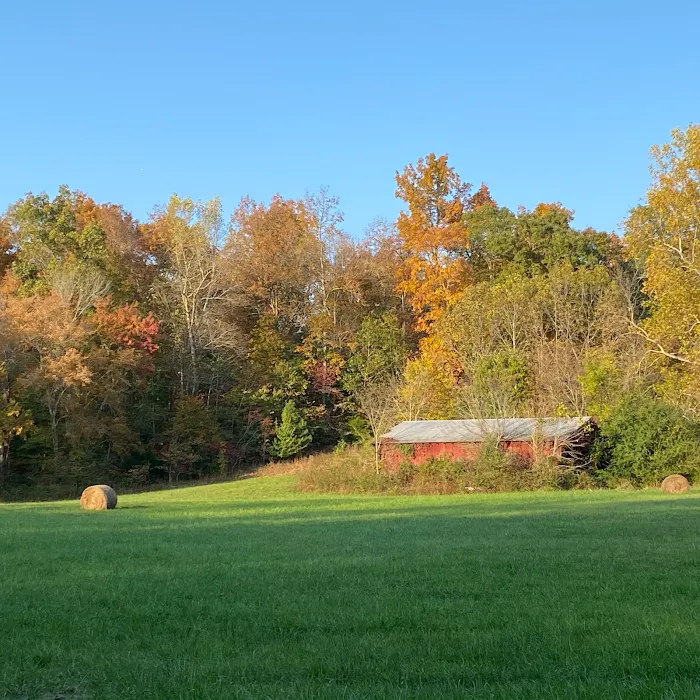 Eagle's Nest RV Park Picture 3