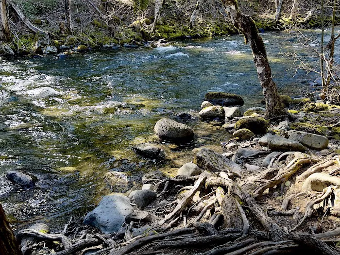 Trout Lake Creek Campground Picture 1