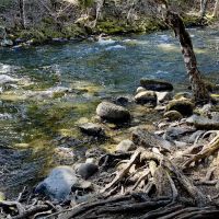 Trout Lake Creek Campground ico