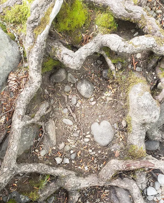 Trout Lake Creek Campground Picture 3