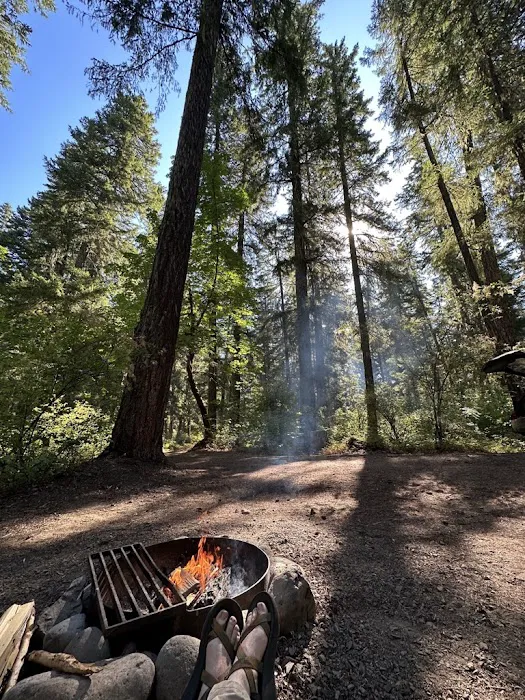Trout Lake Creek Campground Picture 9
