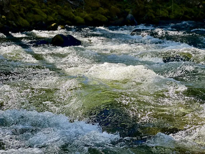 Trout Lake Creek Campground Picture 7