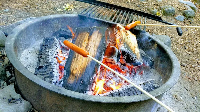 Trout Lake Creek Campground Picture 5