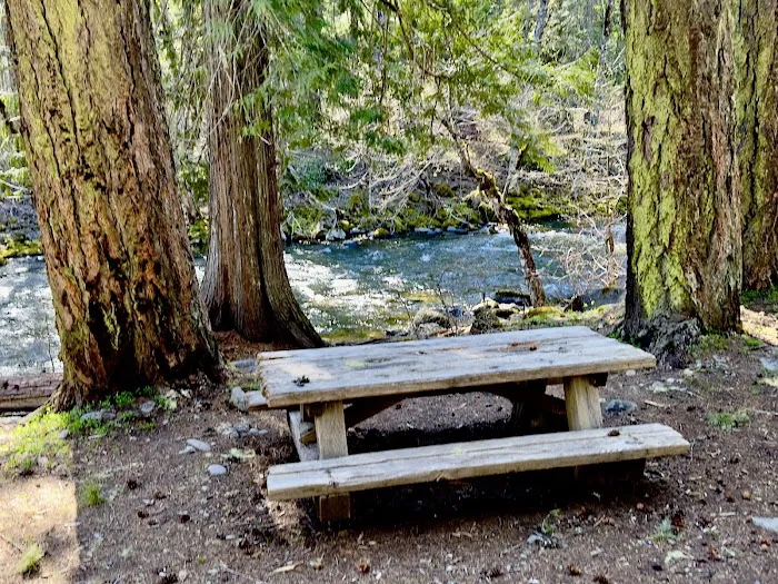 Trout Lake Creek Campground Picture 10