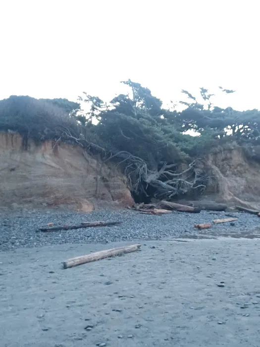 Kalaloch Campground Rv Dump Station Picture 10
