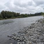 Cottonwood Campground