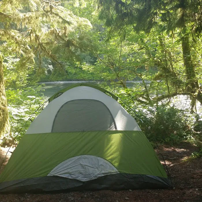 Hoh Oxbow Campground Picture 2