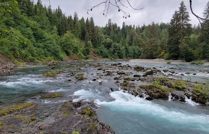 Hoh Oxbow Campground Picture 4
