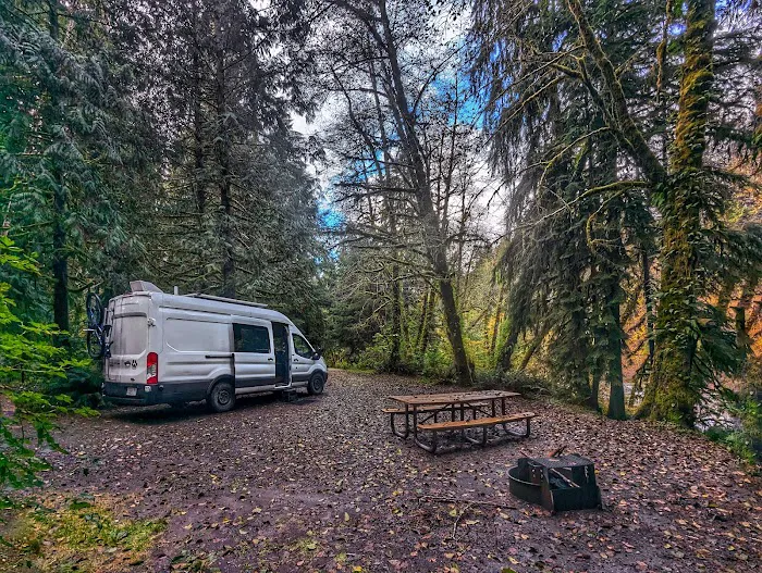 Hoh Oxbow Campground Picture 3