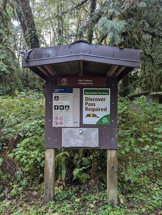Hoh Oxbow Campground Picture 8