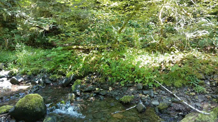 Littleton Horse Camp Picture 9