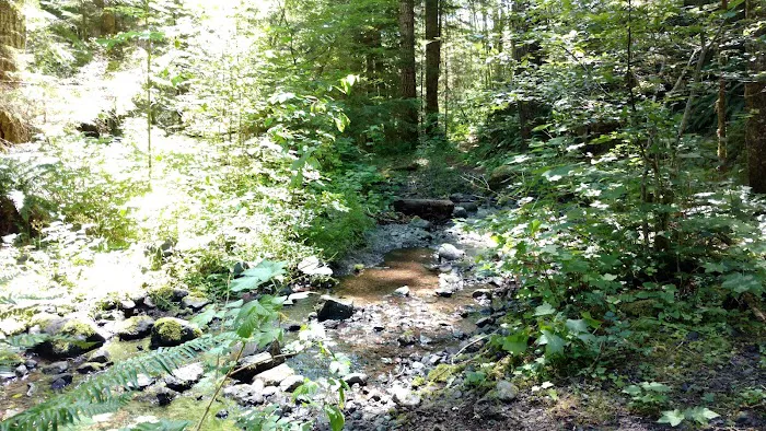 Littleton Horse Camp Picture 7