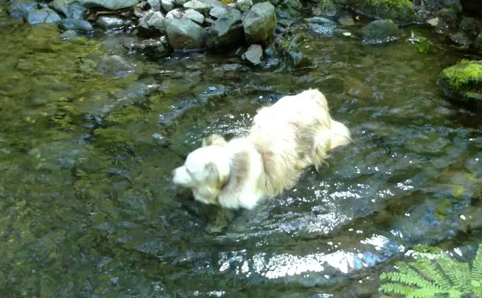 Littleton Horse Camp Picture 10