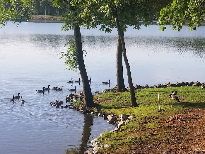 Cypress Cove RV Park Picture 3