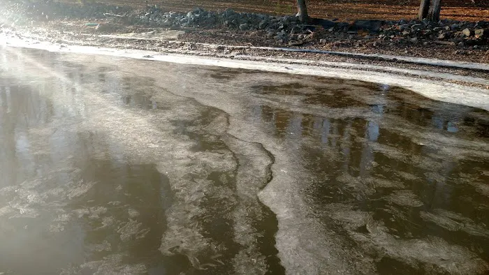 Cypress Cove RV Park Picture 9