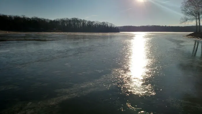 Cypress Cove RV Park Picture 4