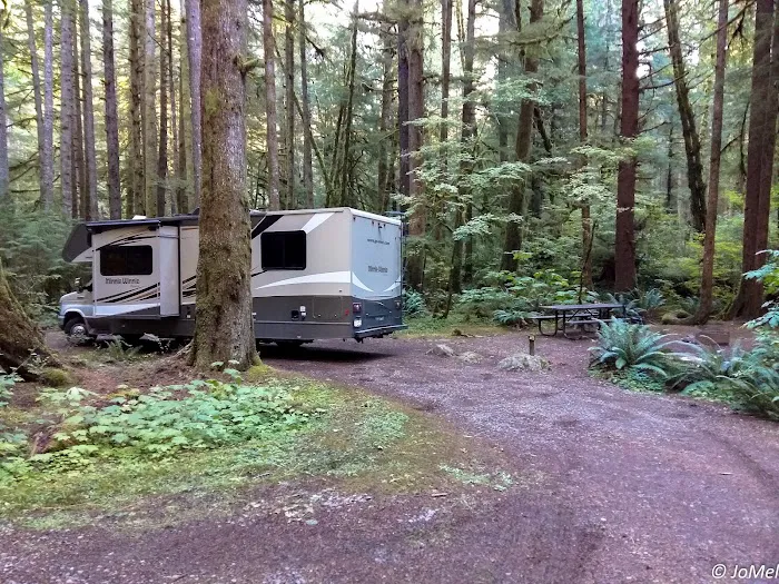 Klahowya Campground Picture 3
