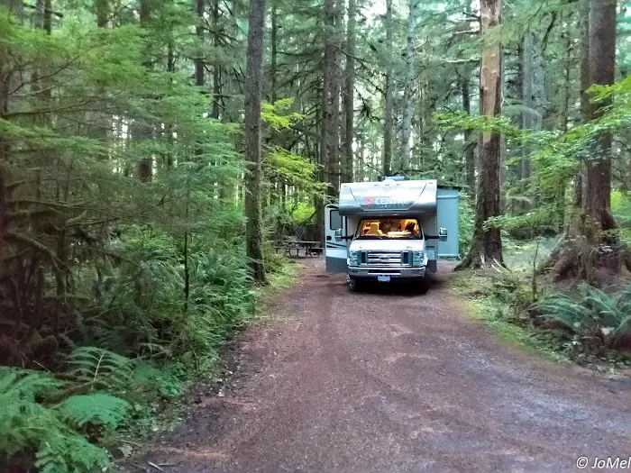 Klahowya Campground Picture 4