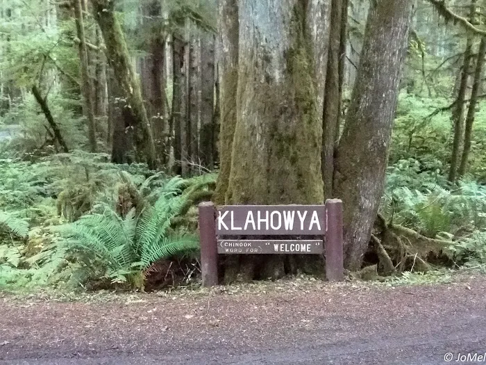 Klahowya Campground Picture 5