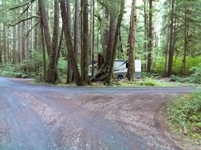 Klahowya Campground Picture 6