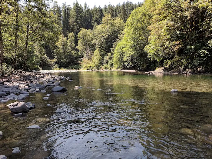 Klahowya Campground Picture 1