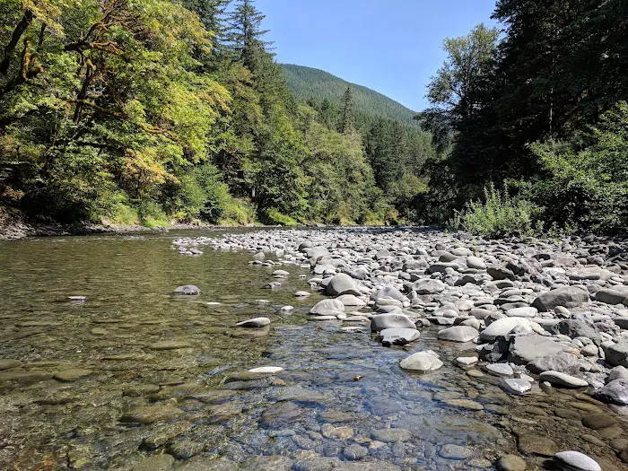 Klahowya Campground Picture 9