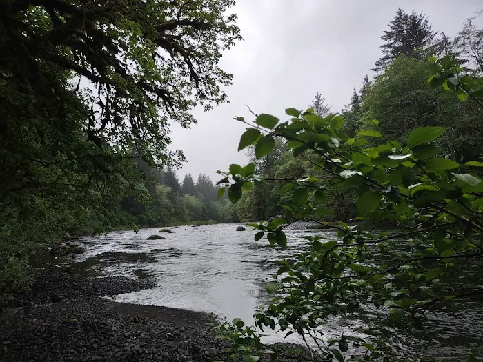 Klahowya Campground Picture 1