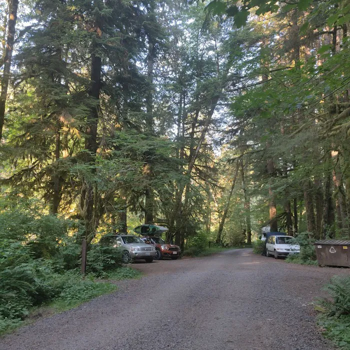 Klahowya Campground Picture 3