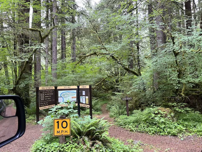 Klahowya Campground Picture 7