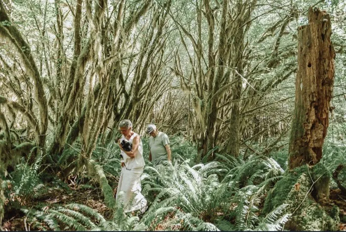 Misty Willow's Farm and Camp Picture 3