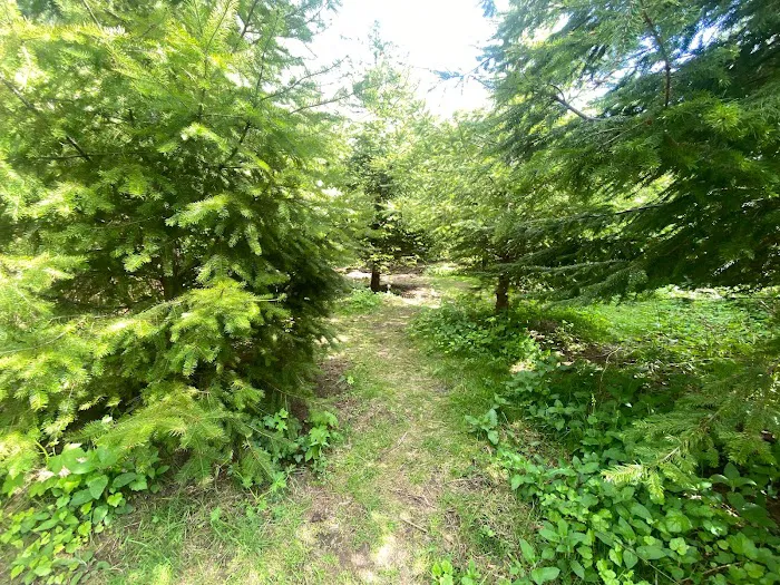 Misty Willow's Farm and Camp Picture 4